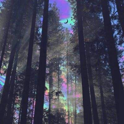 环球体育官网下载截图